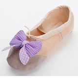 Canvas Flats Ballet Ballroom Dance Shoes (053024331)