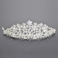 Gorgeous Clear Crystals Wedding Bridal Tiara (042004249)