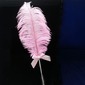 Ostrich Feather Wedding Pen (101020367)