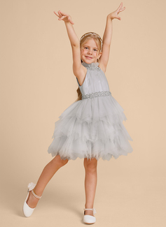 Ball-Gown/Princess Beading Tulle Dress