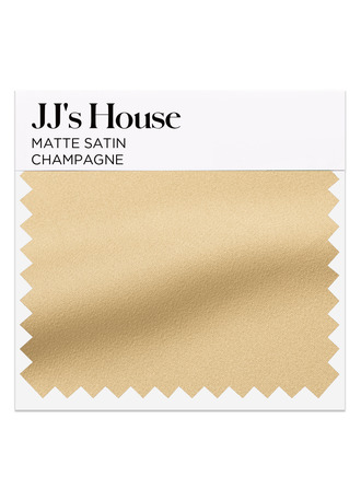 Champagne Matte Satin Swatch 